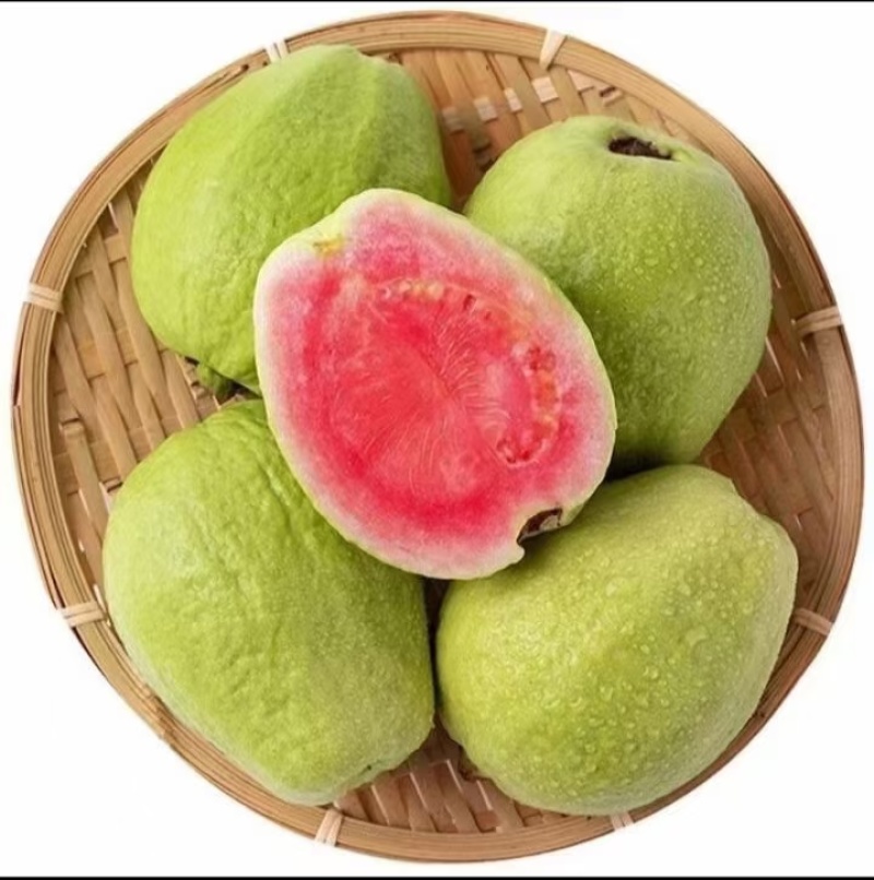 红心芭乐番石榴广东精品电商商超批发代办产地直发欢迎联系
