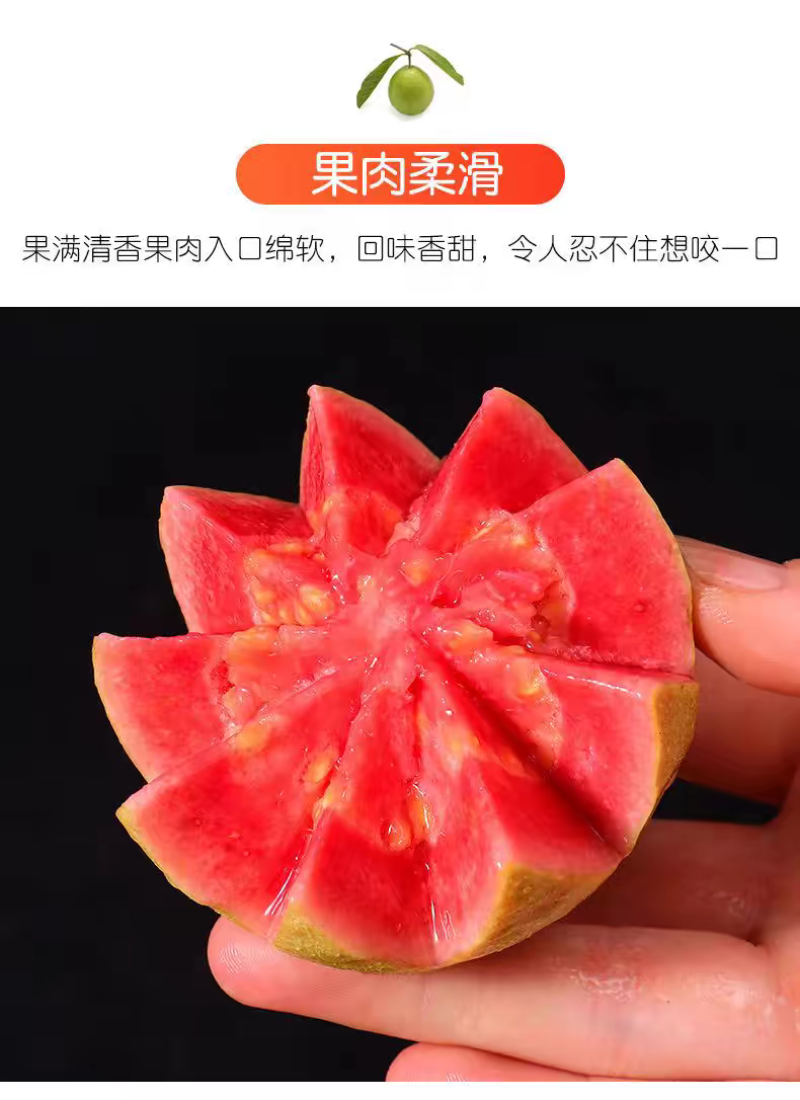 红心芭乐番石榴广东精品电商商超批发代办产地直发欢迎联系
