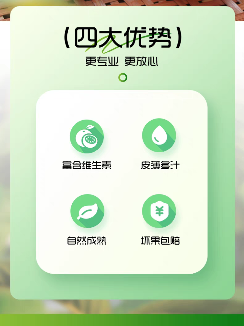 红心芭乐番石榴广东精品电商商超批发代办产地直发欢迎联系