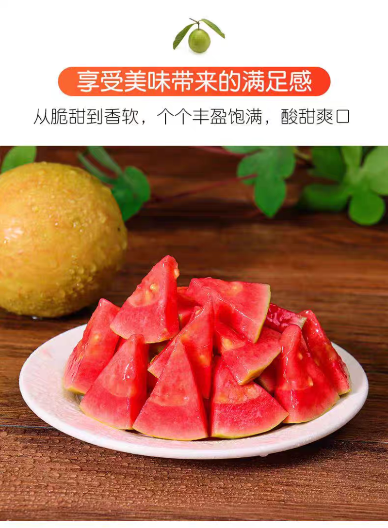 红心芭乐番石榴广东精品电商商超批发代办产地直发欢迎联系