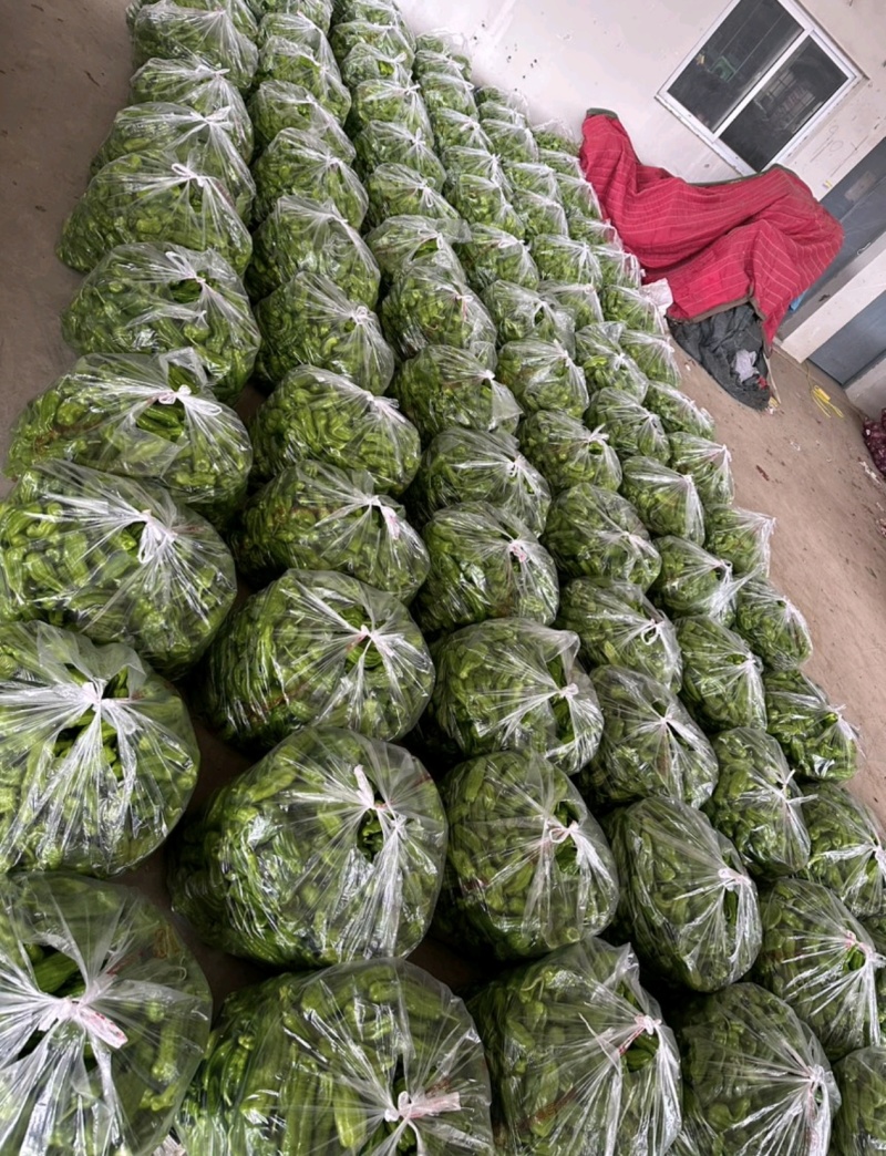 江苏淮安苏椒大量供应产地直发量大从优欢迎来电