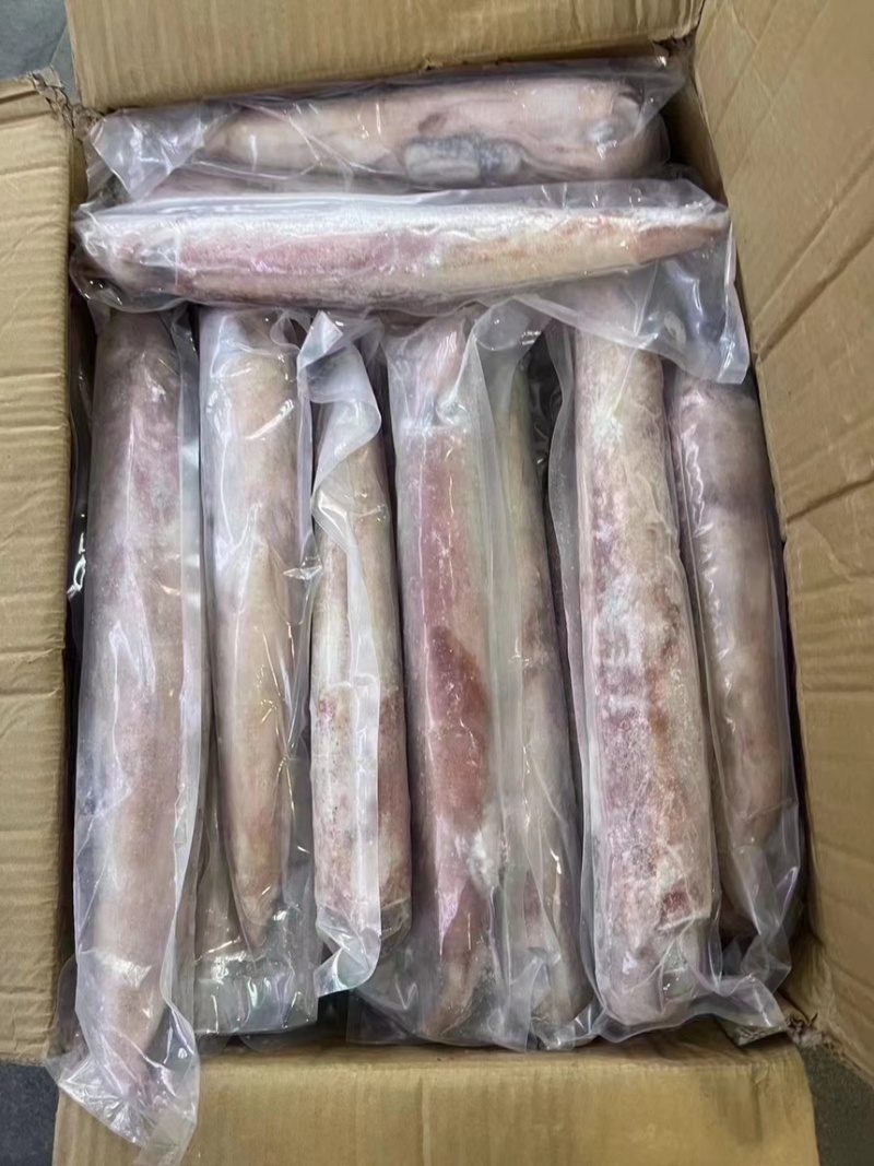 火箭鱿鱼