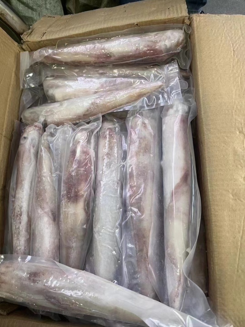火箭鱿鱼