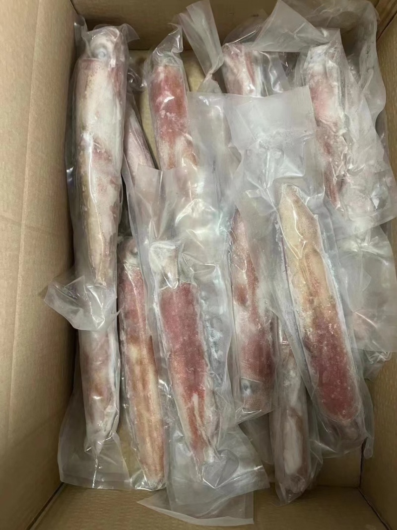 火箭鱿鱼