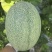 正宗山东哈密瓜新鲜水果