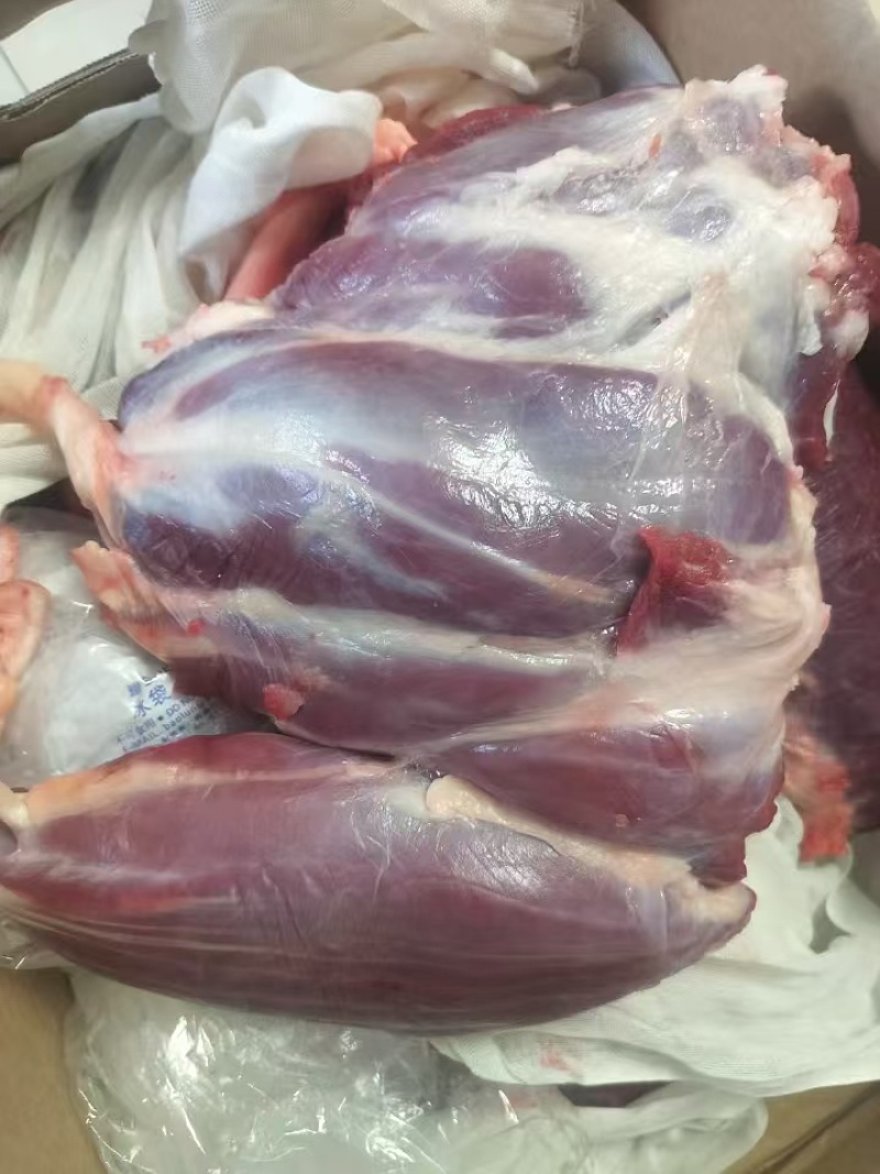 鲜牛肉批发，精品部位肉吊龙，自养自销散养溜达牛，现宰现卖