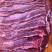 鲜牛肉批发，精品部位肉吊龙，自养自销散养溜达牛，现宰现卖