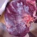 鲜牛肉批发，精品部位肉吊龙，自养自销散养溜达牛，现宰现卖