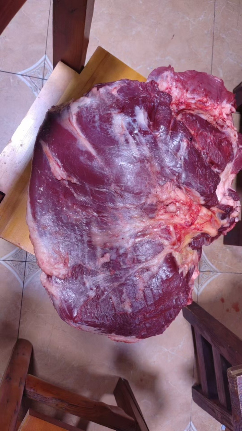 鲜牛肉批发，精品部位肉吊龙，自养自销散养溜达牛，现宰现卖