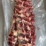 鲜牛肉批发，精品部位肉吊龙，自养自销散养溜达牛，现宰现卖