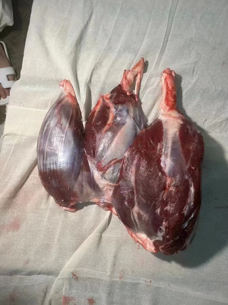 鲜牛肉批发，精品部位肉吊龙，自养自销散养溜达牛，现宰现卖