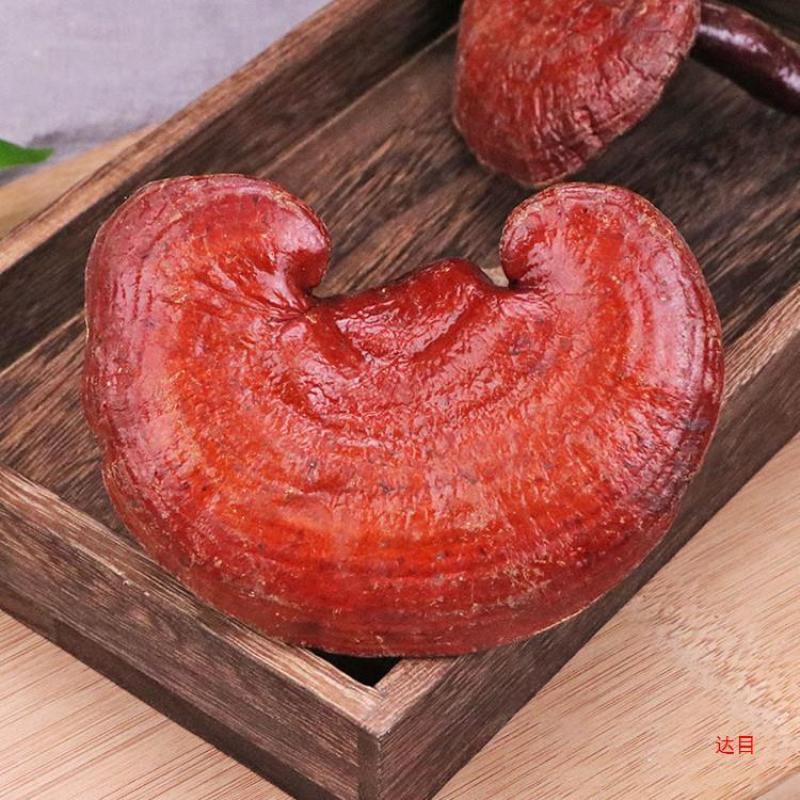 灵芝片！灵芝个子，各种规格！切片！！批发零售！