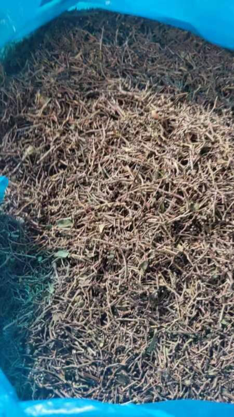 精品花椒杆，货量充足，可视频看货，欢迎客商来电咨询