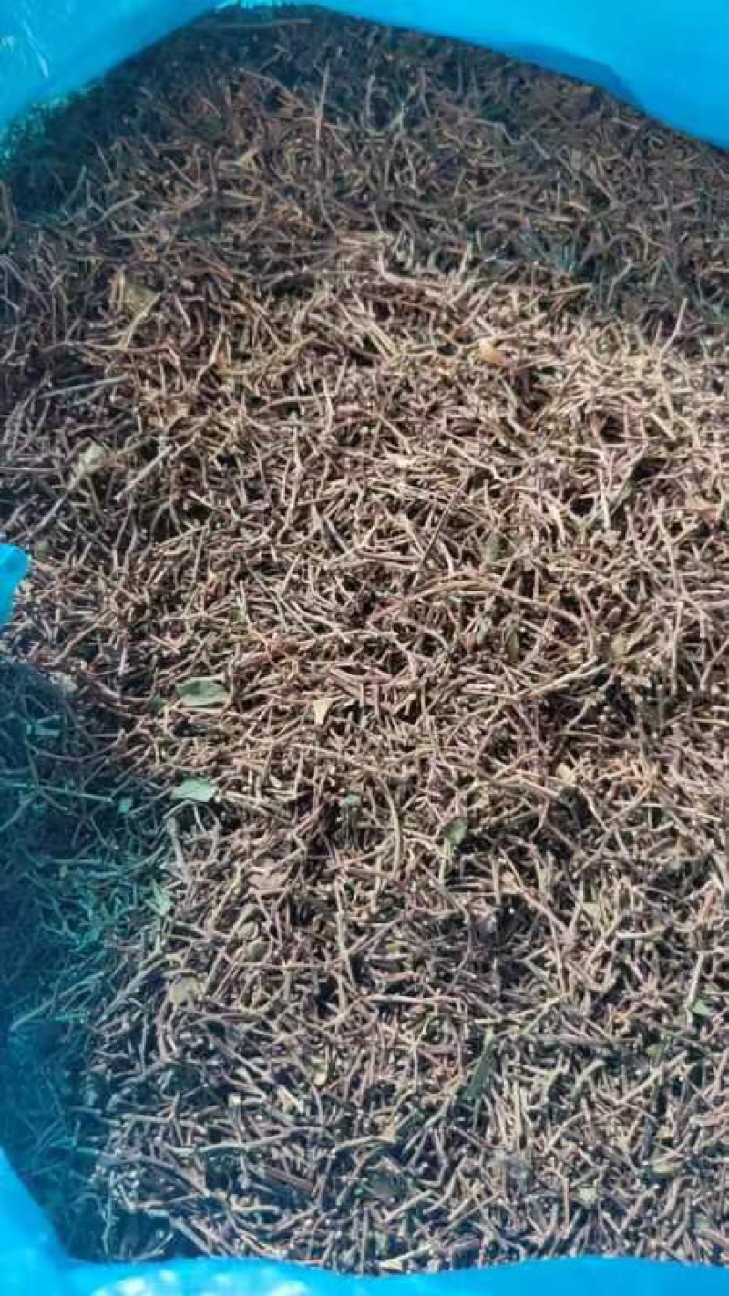 精品花椒杆，货量充足，可视频看货，欢迎客商来电咨询