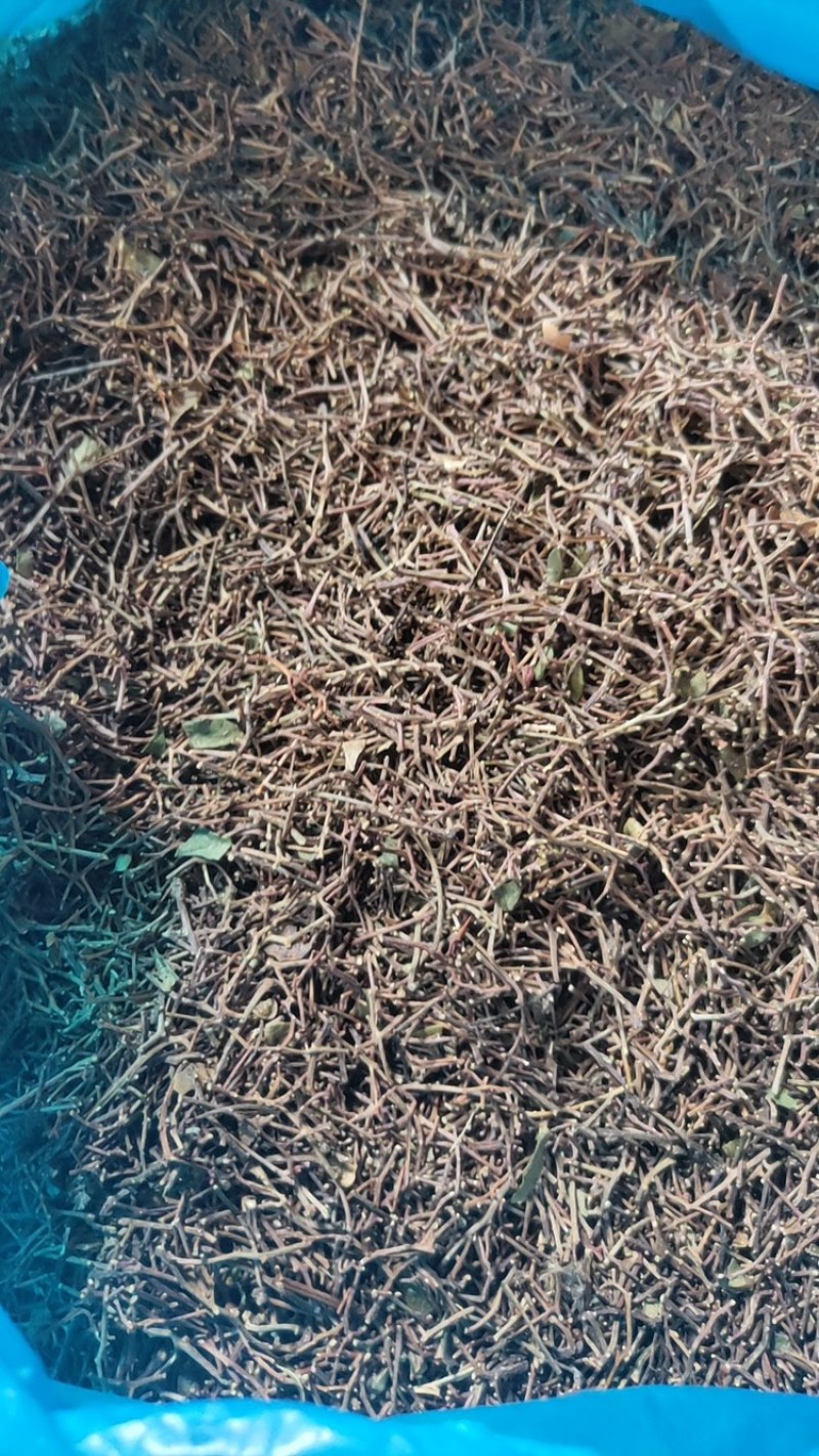 精品花椒杆，货量充足，可视频看货，欢迎客商来电咨询