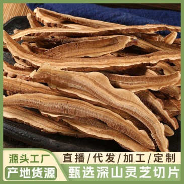 【优质灵芝片】长白山灵芝灵芝片赤灵芝片大个灵芝