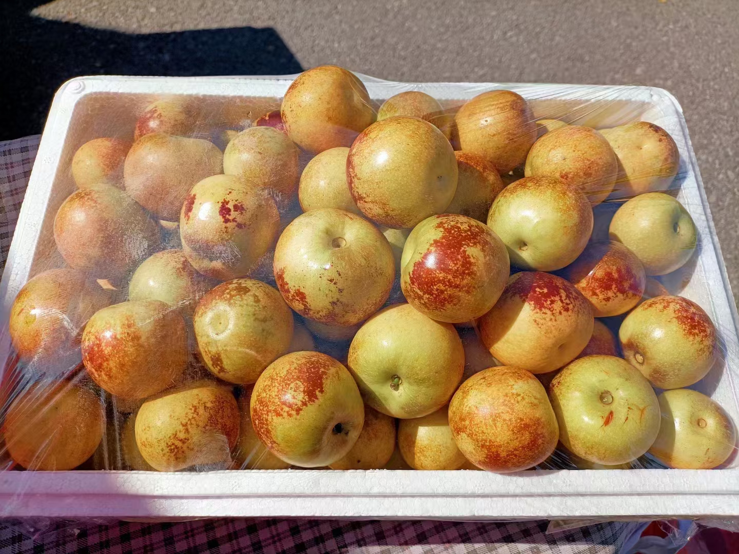 棉枣系列产品展示台