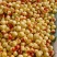 沾化冬枣枣农直发按需加工承接商超电商市场代发