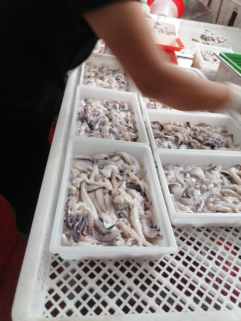 墨鱼须墨鱼爪