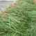 基地精品小二刀大量供应