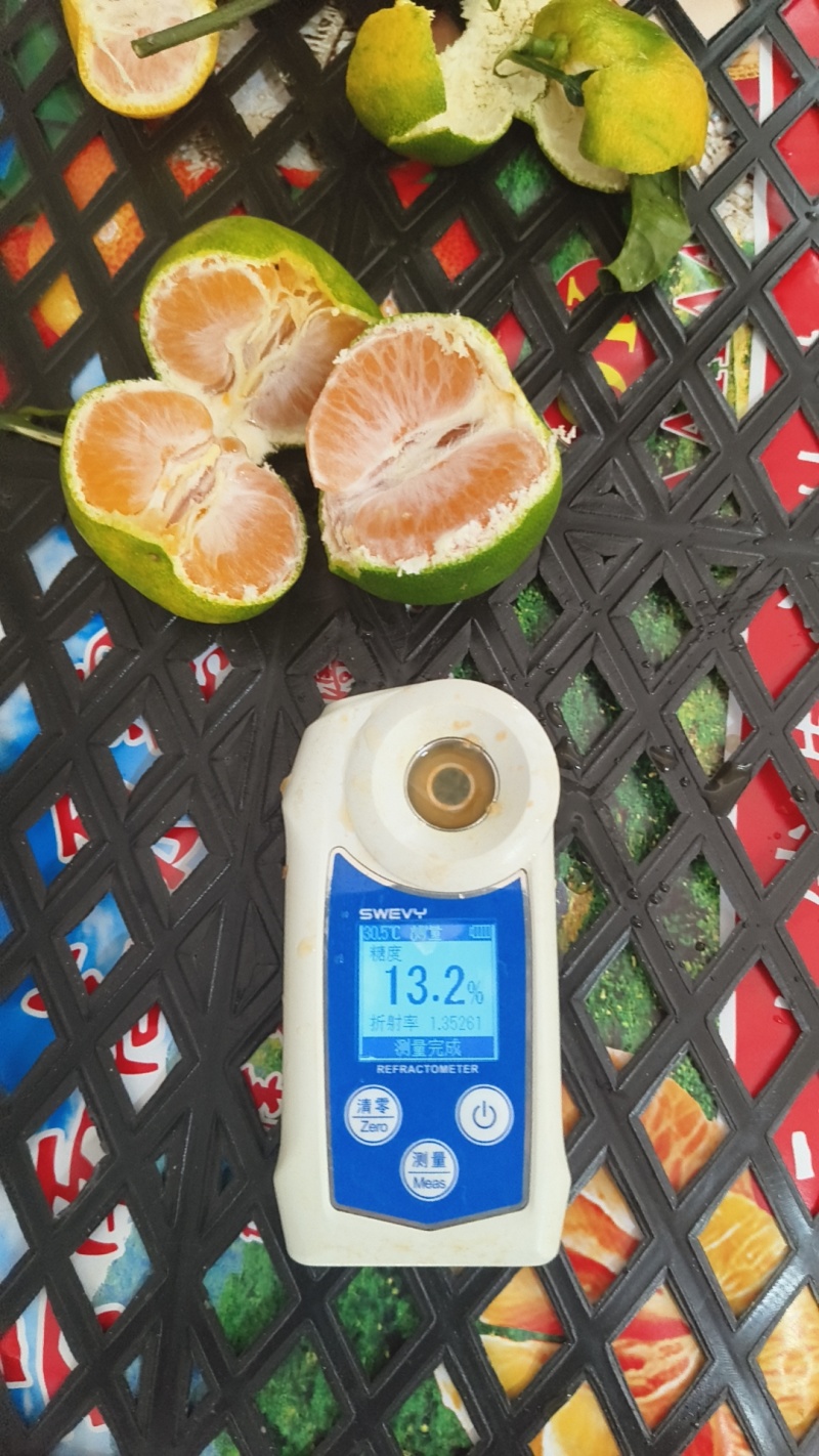湖北特早蜜橘皮薄爆汁产地直发对接商超市场量大从优