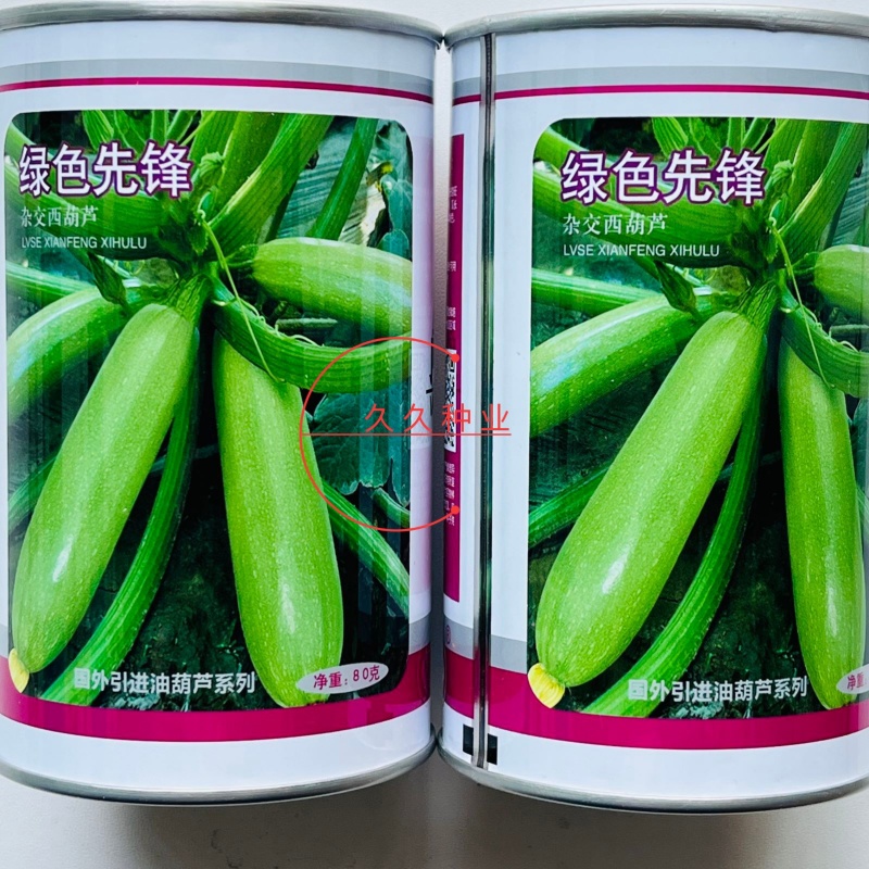 绿色先锋西葫芦种子高产茭瓜占瓜春秋农家大田耐寒抗病