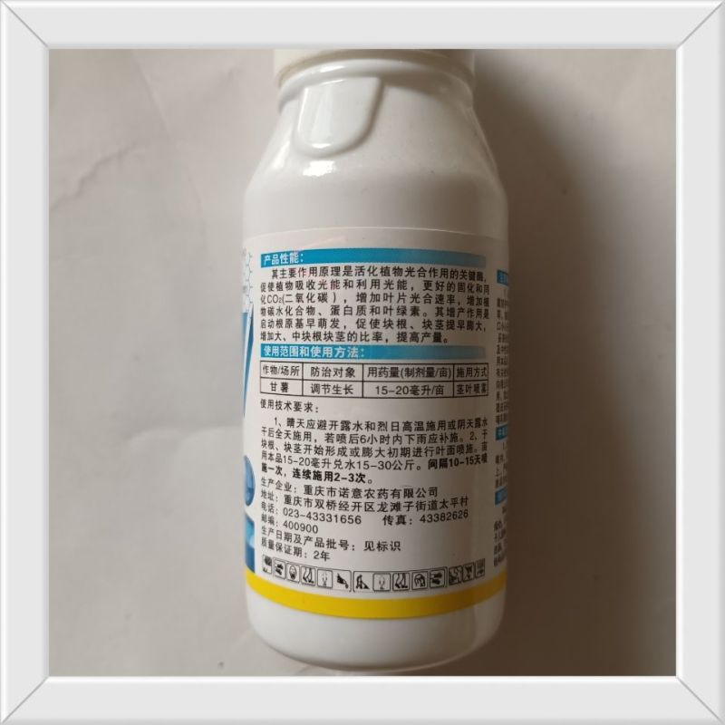 洋大哥60%氯化胆碱甘薯调节生长块茎膨大增产植物生长调节