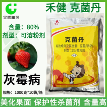 推荐80%克菌丹可溶粒剂草莓灰霉病专用药杀菌剂农药正品
