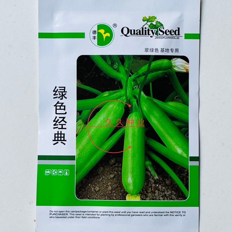 绿色经典西葫芦种子翠绿色中熟耐热耐寒坐果率高抗病
