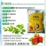 推荐80%克菌丹可溶粒剂草莓灰霉病专用药杀菌剂农药正品