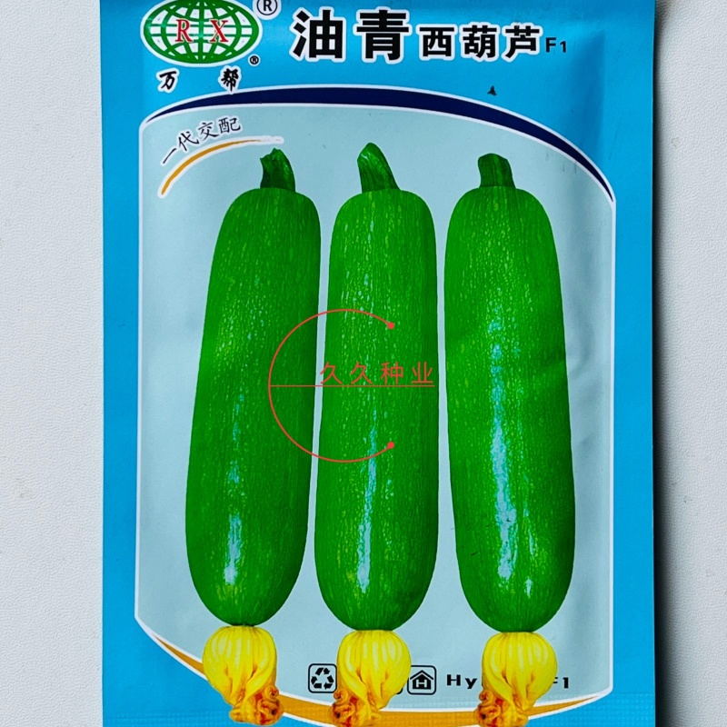 油青西葫芦种子抗病丰产耐寒青瓜籽南北方春秋两季播四季蔬菜