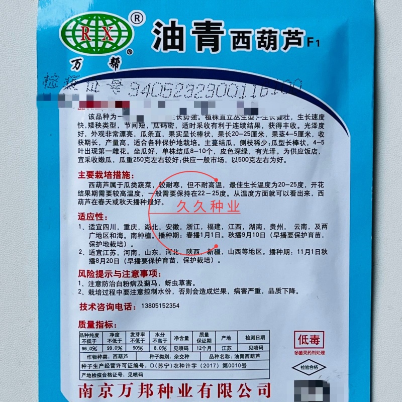油青西葫芦种子抗病丰产耐寒青瓜籽南北方春秋两季播四季蔬菜