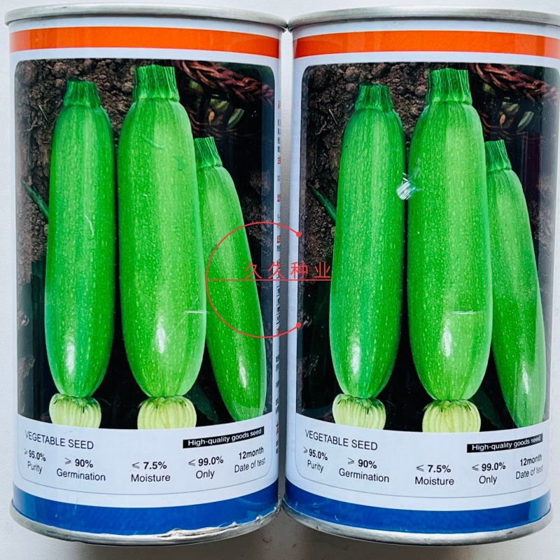 胜寒西葫芦种子高产蔬菜种子四季易种家庭阳台盆栽蔬菜籽