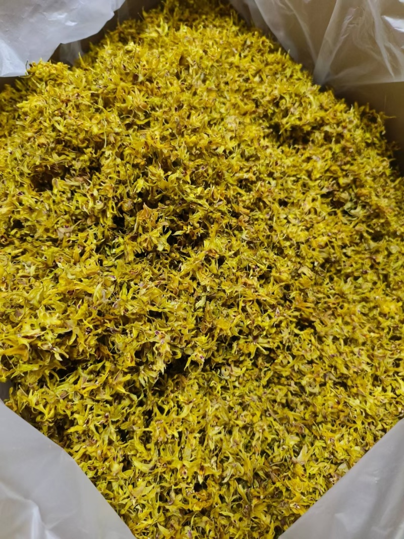 铁皮石斛花产地大货批发