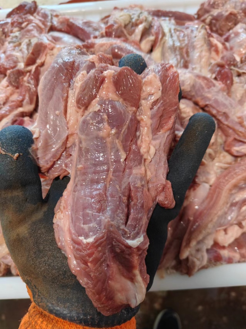 批发50斤小块生牛肉