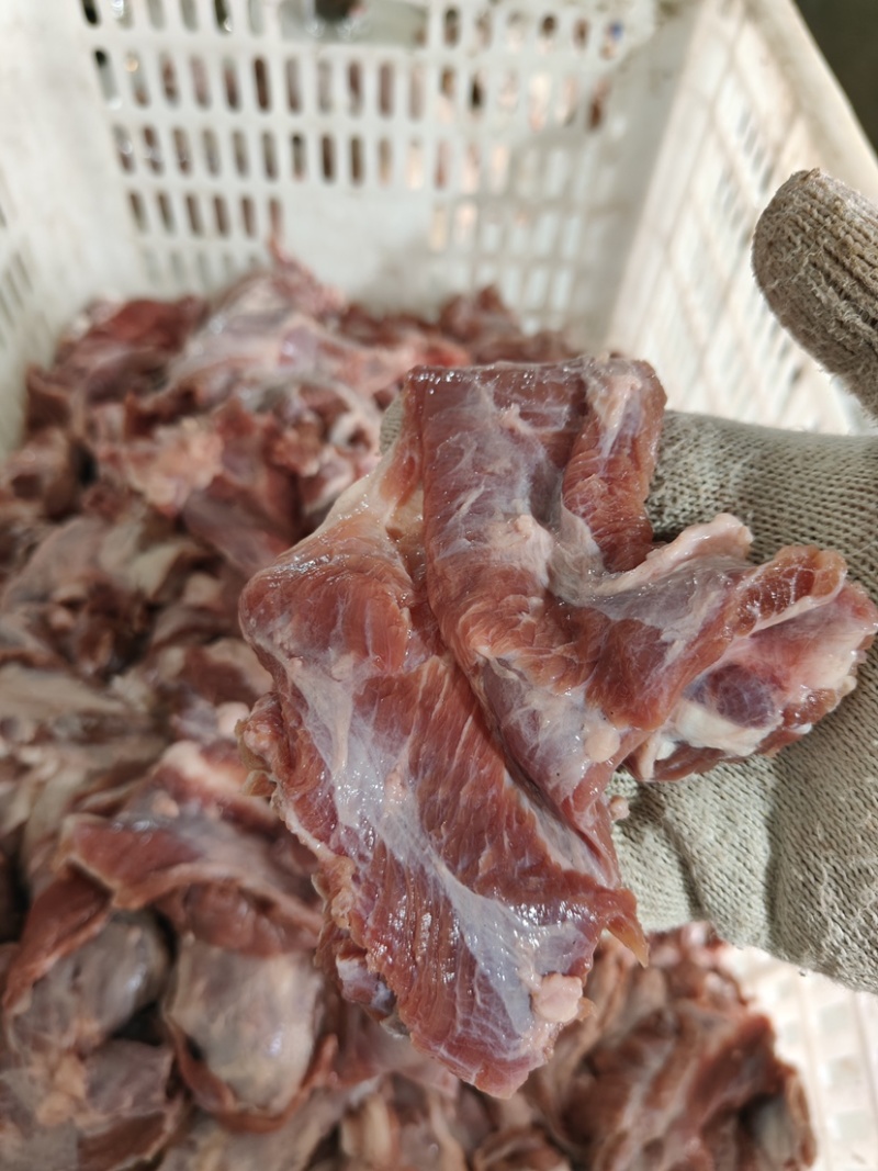 批发50斤小块生牛肉
