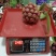 布福娜黑老虎代发价格
