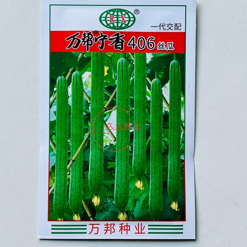 万帮宁香406丝瓜种子杂交早熟高产特嫩长香丝瓜种籽春秋季