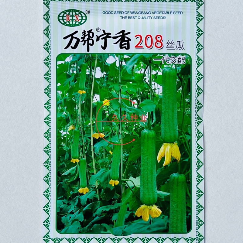 万帮宁香208丝瓜种子早熟高产短棒型清香肉丝瓜种籽