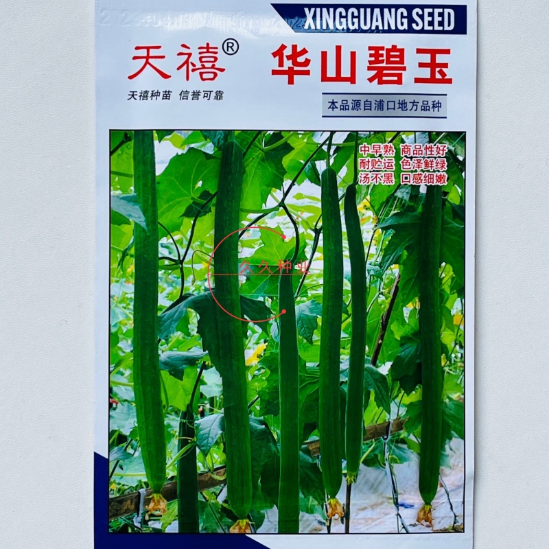 天禧华山碧玉丝瓜种子早中熟品质优农家菜园四季田园
