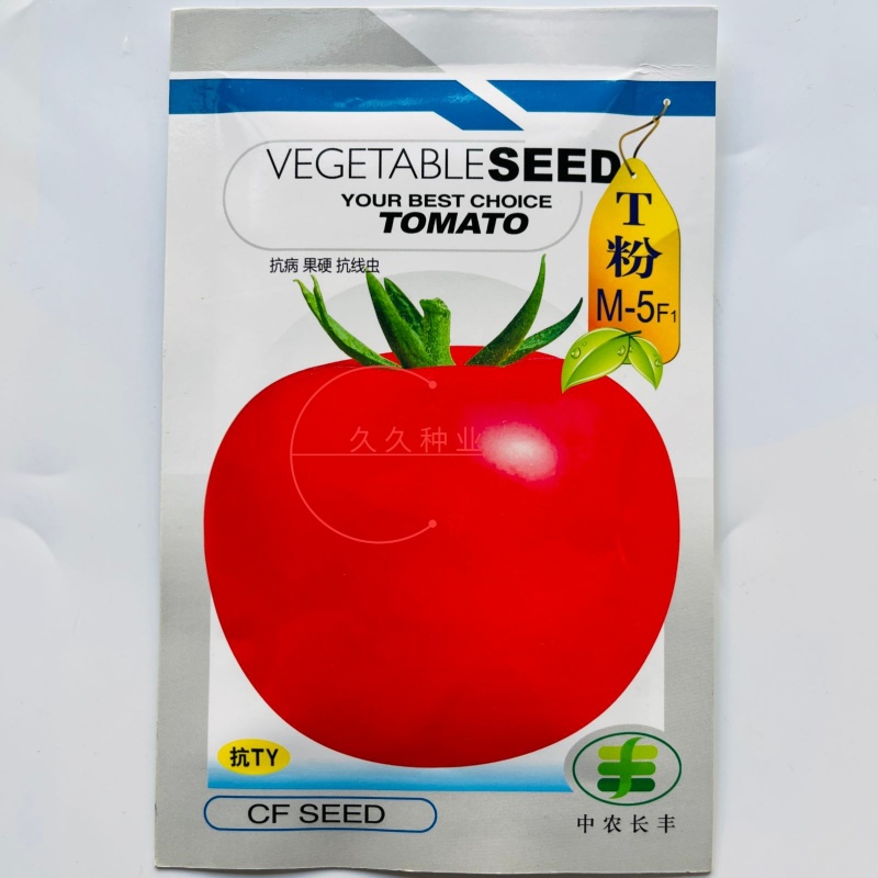 中农长丰T粉M-5番茄种子新品早熟硬果高产抗病