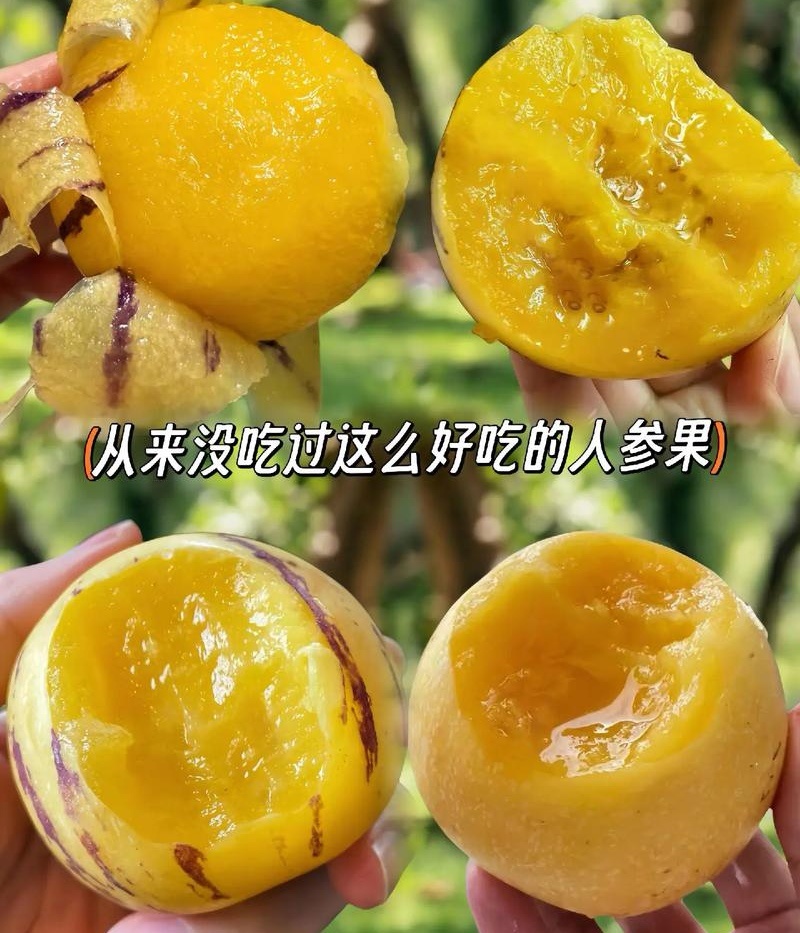【人参果】石林人参果皮薄肉厚现摘现发电商批发一件代发
