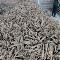 无硫白芷50吨，大通货有意者联系