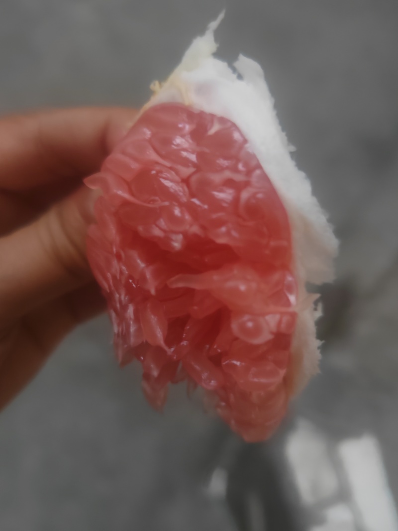 红心柚贵州红肉柚，水份足，口感好，果面光华，红度好。