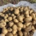 脱毒荷兰十五荷兰806黑龙江种薯基地种子耐储存抗病力强