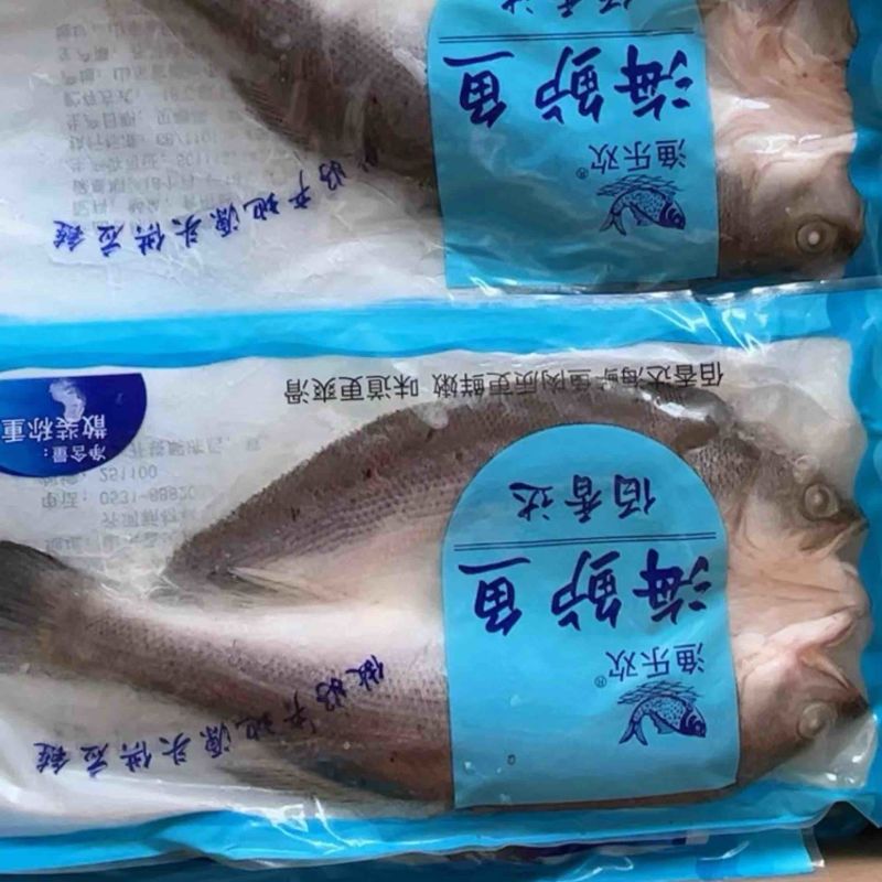 开背海鲈鱼