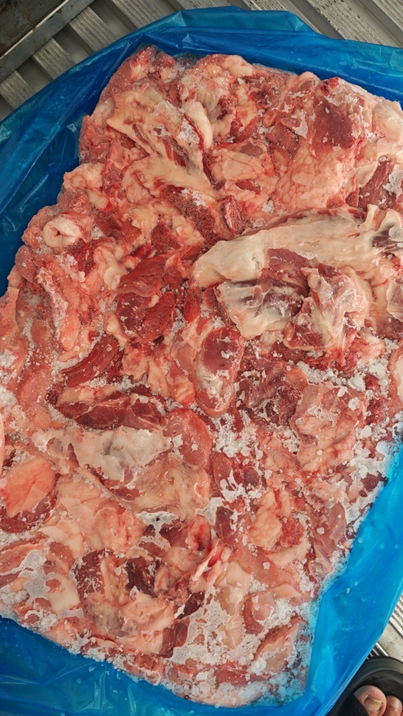 母猪五五碎肉，新货，每天生产，比例好，适合加工厂