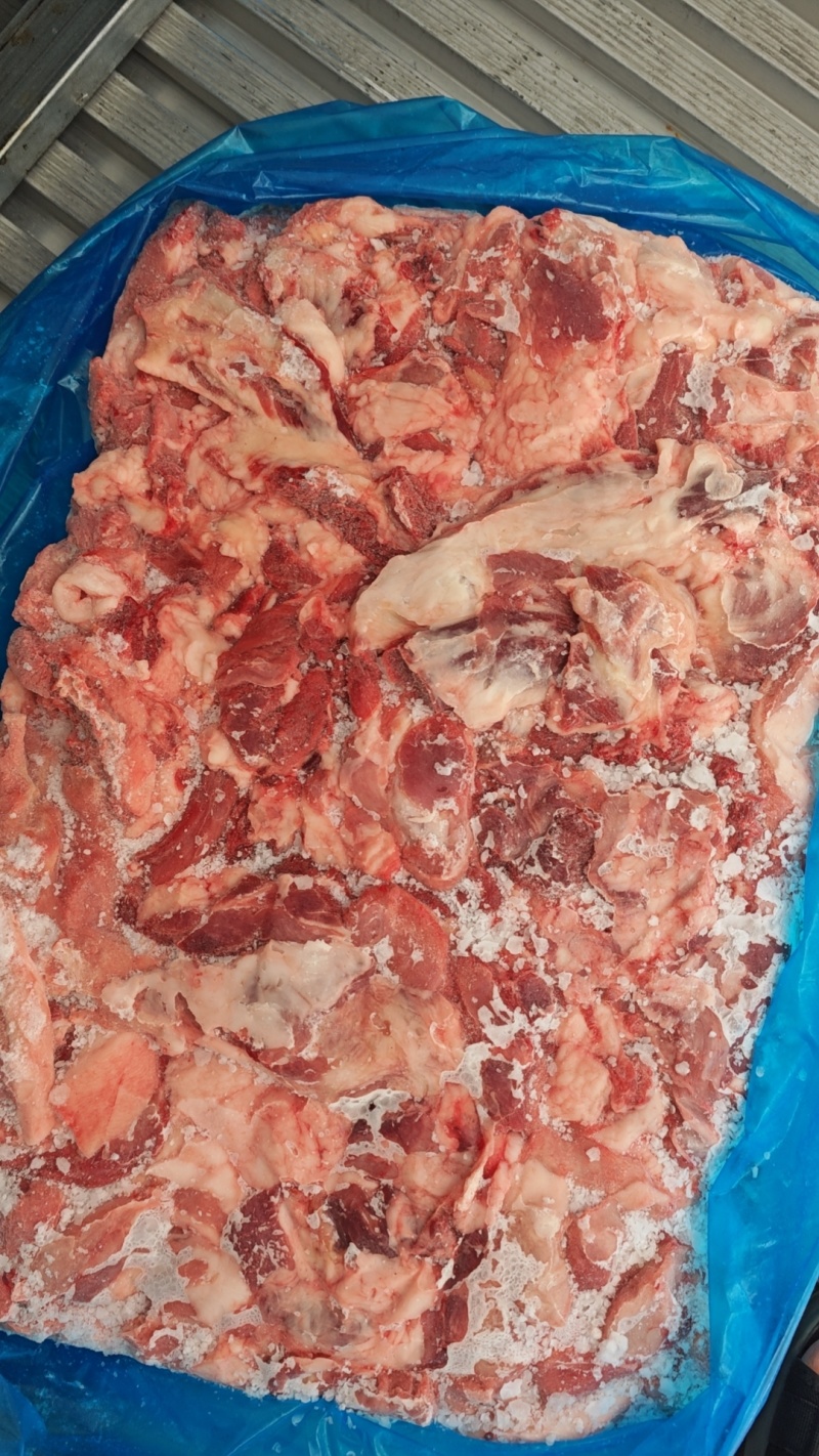 母猪五五碎肉，新货，每天生产，比例好，适合加工厂
