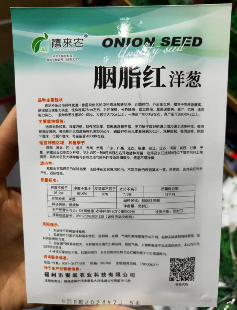 洋葱种子外皮紫红色秋冬蔬菜葱种阳台庭院盆栽蔬菜种子