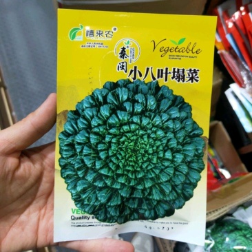 小八叶乌塌菜种子乌塔菜种子农家庭院阳台种植蔬菜种子